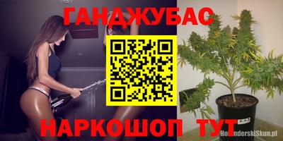 ALPHA PVP Камышлов