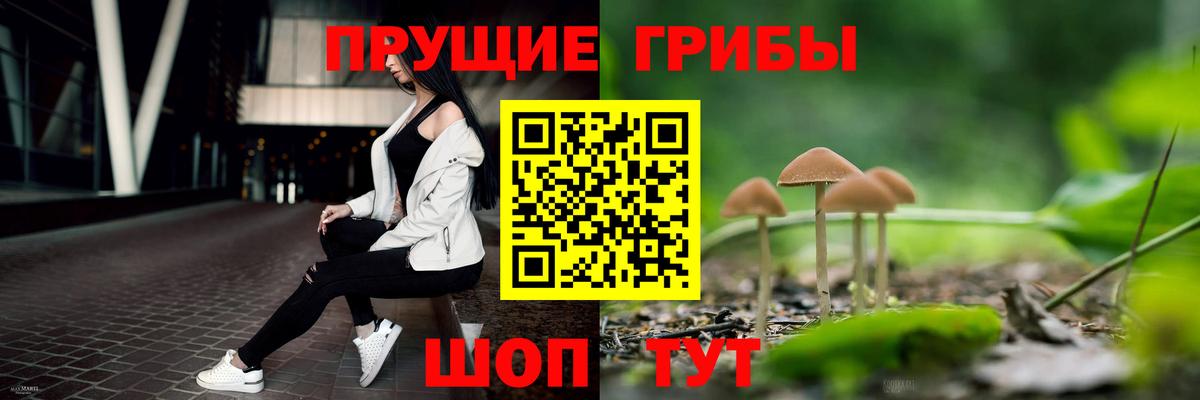 цена   Галлюциногенные грибы мицелий  Вход с VPN  Галлюциногенные грибы мицелий  Иркутск 