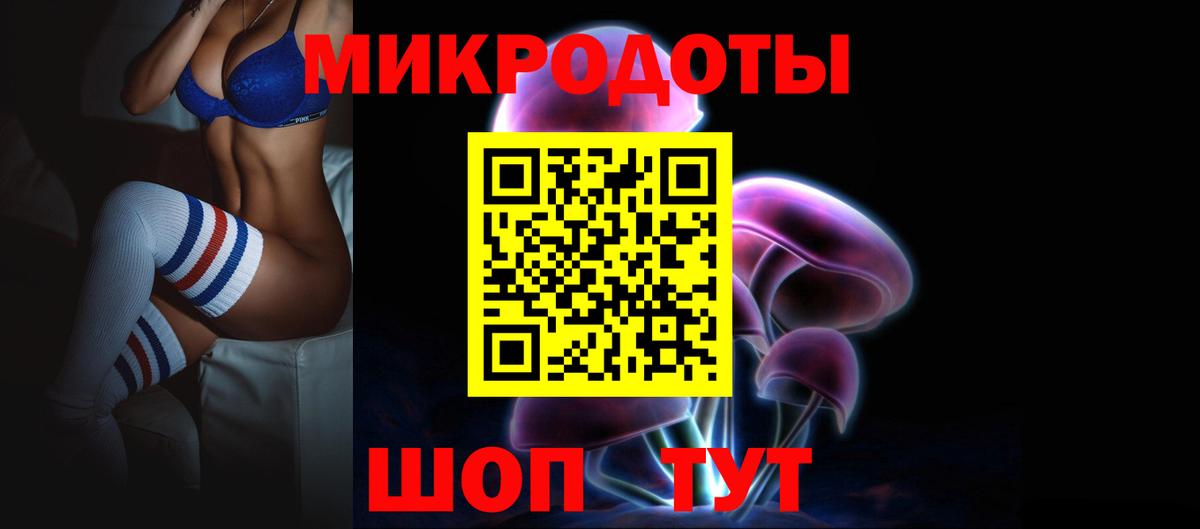 Псилоцибиновые грибы Psilocybe Иркутск